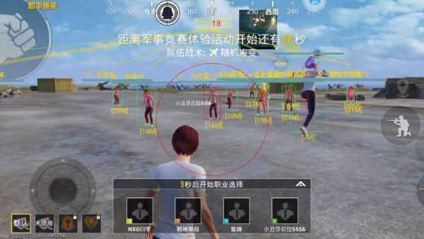 和平精英「小提琴」直装辅助
